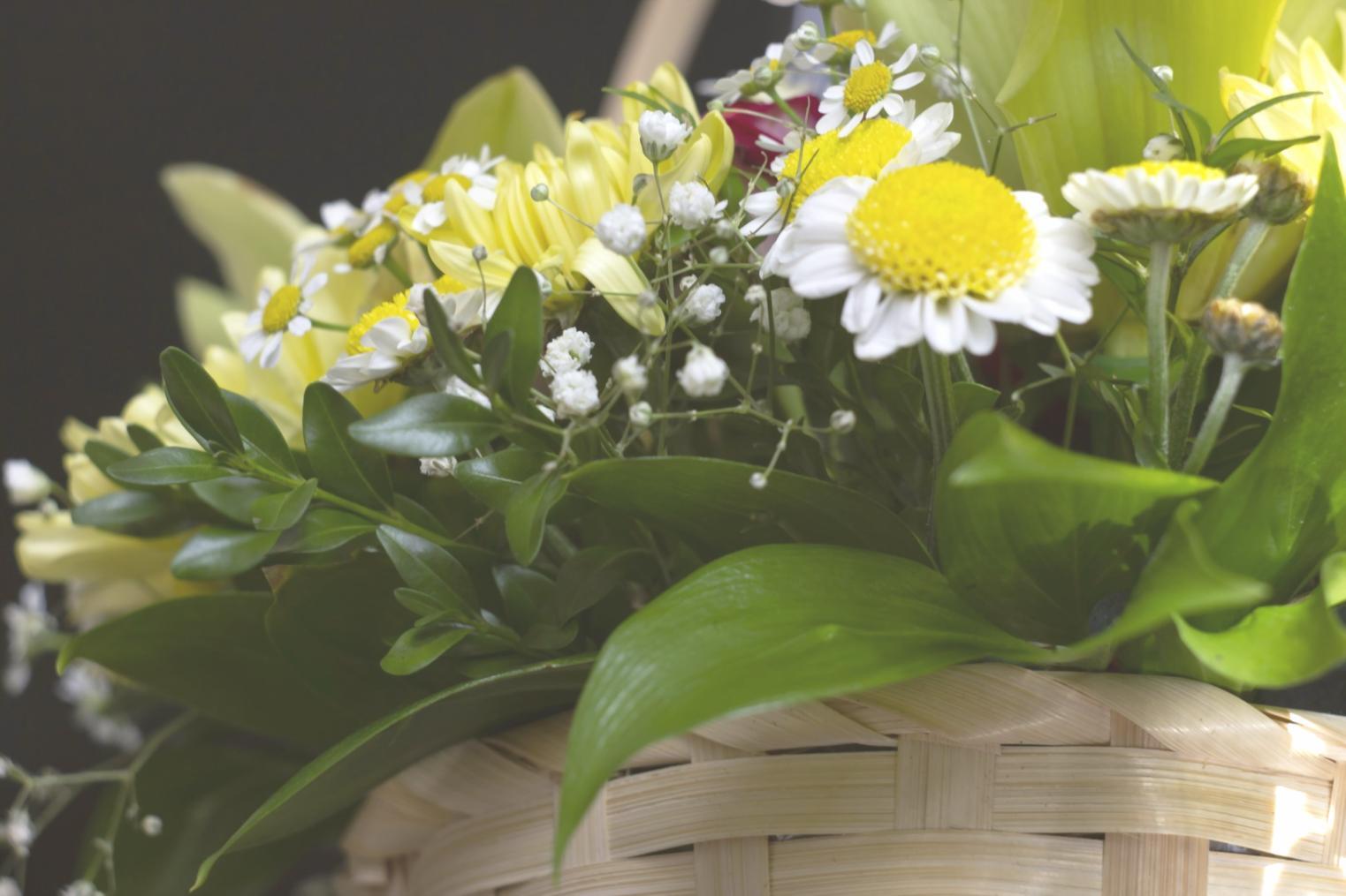Executive boardroom with carefully arranged corporate flower displays
